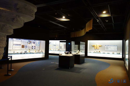 融合创新 数字科技赋能下的主题文化教育新体验